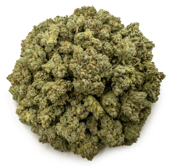 west coast diesel ws