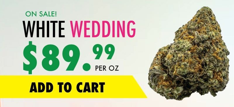 white wedding sale